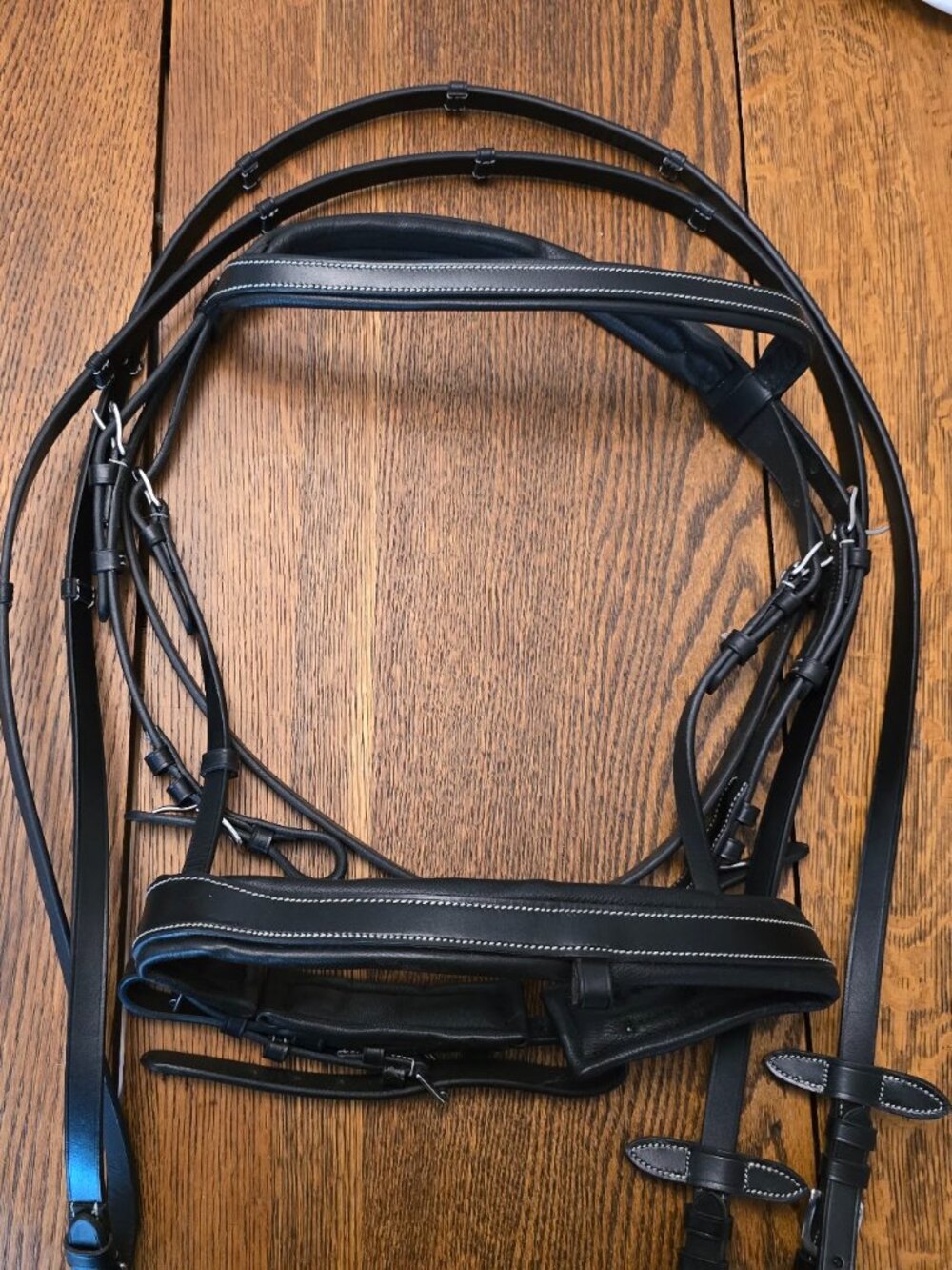 Schooling Bridle LOT - NWOT
